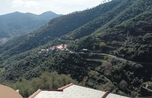 CASA LORENZO SULLE COLLINE DI LEVANTO e VICINO ALLE CINQUETERRE LT-0620 - Foto 20