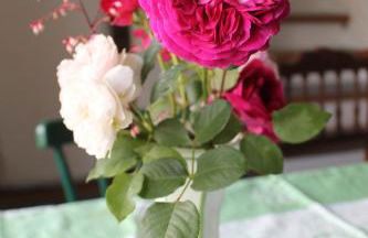 Maison Mille Fleurs - Foto 7