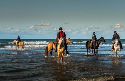 gites de Warincthun - Foto 26