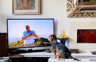 Eclectic Barn - Pergola & Dog-Friendly Garden - Photo 9