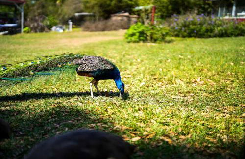 The Clubhouse - Lady Lake Farm Getaway! - Foto 36