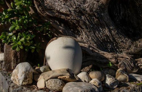 Beachfront Romantica Place Ground floor - Foto 46