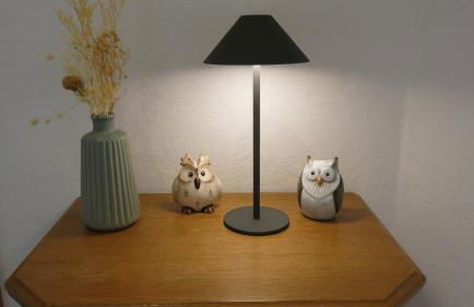 Ferienwohnungen am Waldbad Zwenkau - Foto 12