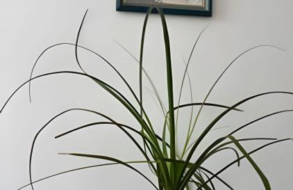 Sensacional Studio Cinelândia 1310 - Foto 10