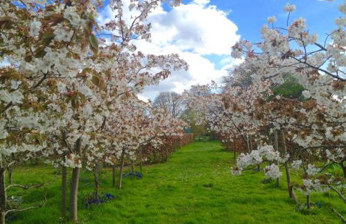 Swafield Hall - Foto 46