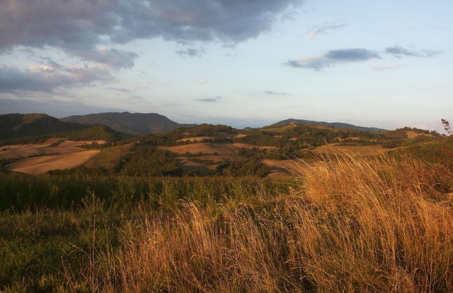 Agriturismo Ca' le Suore - Foto 54