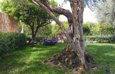 VILLA FEDERICA CON PISCINA/WITH POOL - Foto 11