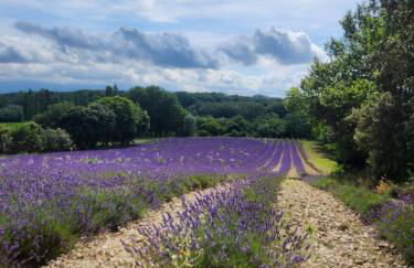 Villa Les Fuseaux Grignan - Foto 38