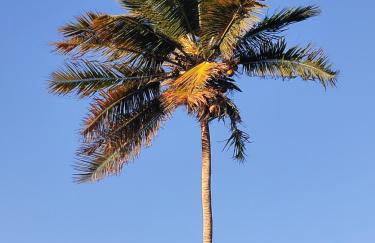 Casinha do Farol - Photo 6