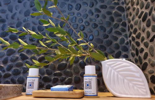 Domaine Codaleone - Foto 29