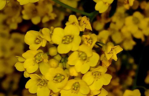 Ferienwohnung David - Foto 31