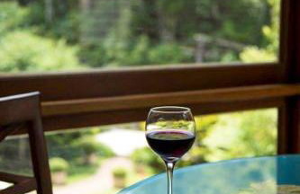 Morada das Hortênsias lindo e acolhedor no Centro - Foto 32