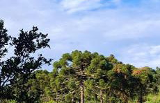 Refúgio Cantinho Verde - Foto 8