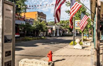 Folsom Old Town Escape • Cozy Cottage + Library - Foto 18
