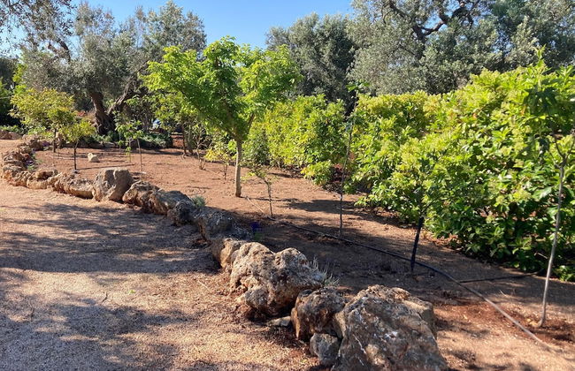 Trulli Mimosa by Pugliadamare - Foto 54