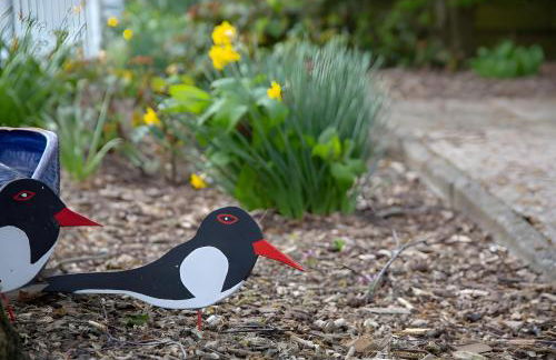 Vogelhus Yvonne Vogel - Foto 14