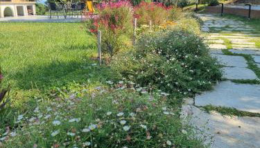 Moses Villa - Photo 5, Garden