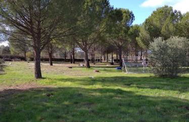 El Pinar del Rondero J&M En Plena Naturaleza - Photo 20