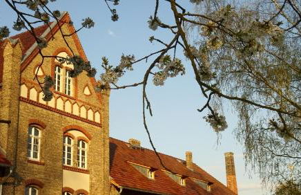 FeWo "Biene" im Kunstgut Krahne - Foto 18