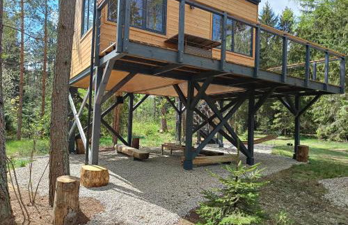 Zdalnie z Lasu - Siedlisko w Puszczy Białowieskiej - Foto 18