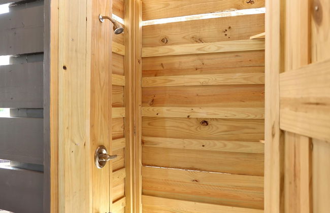 The Sea Life - Foto 53