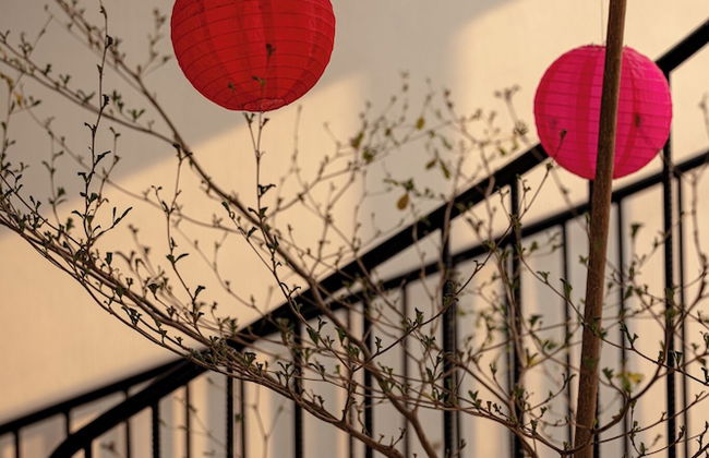 Trang An Cozy House - Foto 45