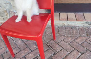 B&B Borgo San Antonio - Foto 78