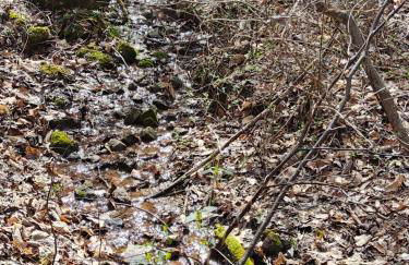 Meadows Way 3378 - Foto 29