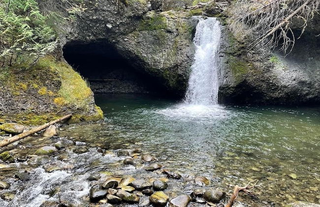 The Rustic Resort - Foto 21