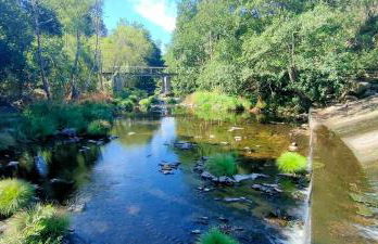 Estúdio acolhedor centro Vila Real - Photo 12