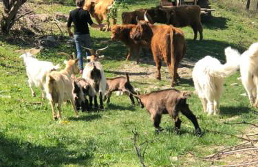 Agriturismo Il Covo del Solengo - Foto 70