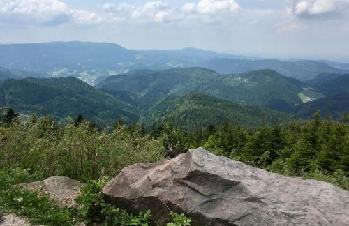 Blackforest Apartment - Foto 32