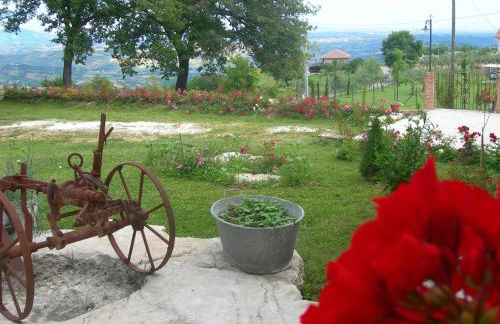 Agriturismo Borgo San Martino - Photo 19