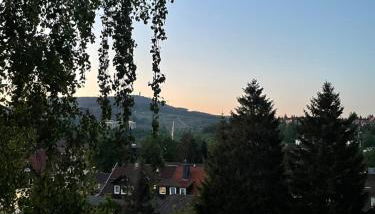 Tami's Harzglück - Foto 2