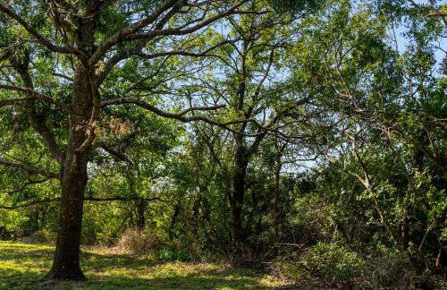 Cole Springs Historic Cottage - Foto 58