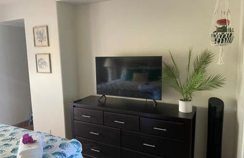 Whale Watching from the Lanai - Oceanfront Condo in West Maui - Foto 25