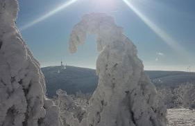 Ferienwohnung "Waldzauber" - Foto 32