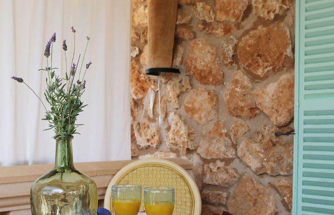 Hotel Rural Es Turó - Foto 6