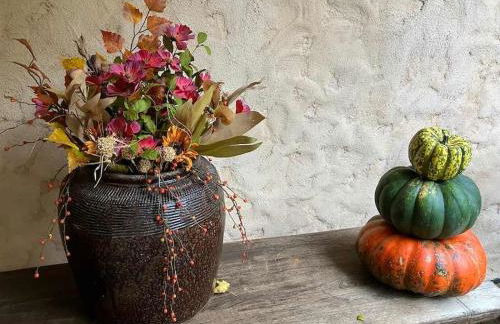 Apeldoorn House - 25 min to downtown Asheville - Foto 20