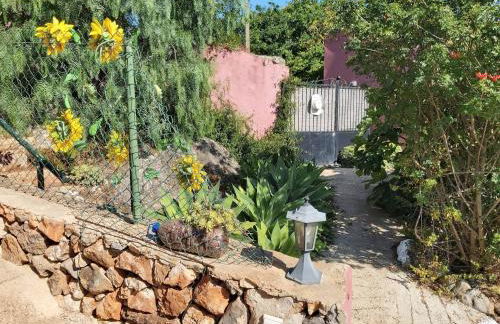 Bela Vista House - Quinta Amoreira - Foto 55