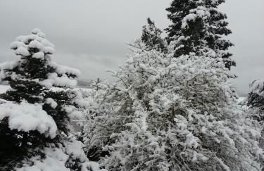 Ferienwohnung Morbach - Photo 6