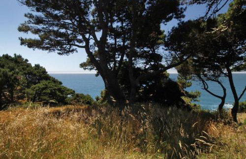 Ocean Bluff Serenity - Foto 10