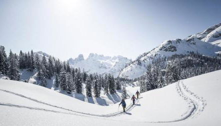 Residence Feldhof - Foto 4