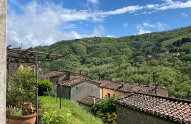 La casa rosa - Foto 3