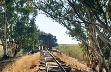 Il Canneto di Selinunte - Foto 46