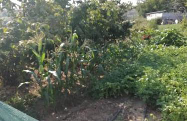 Peaceful cottage with incredible panoramic view - Foto 39