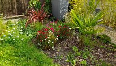 Maison à 20 min de Paris et liaison CDG (transports à 5 min à pied) - Foto 4