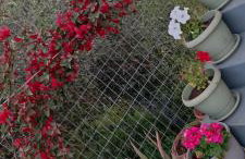 Marilidia House - Foto 13