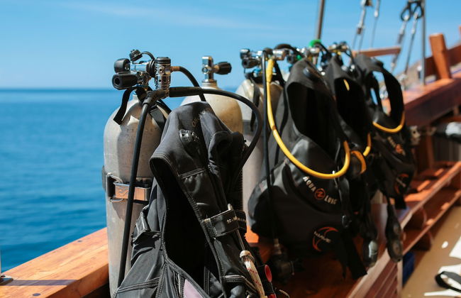 Tanaka Liveaboard Raja Ampat - Foto 17