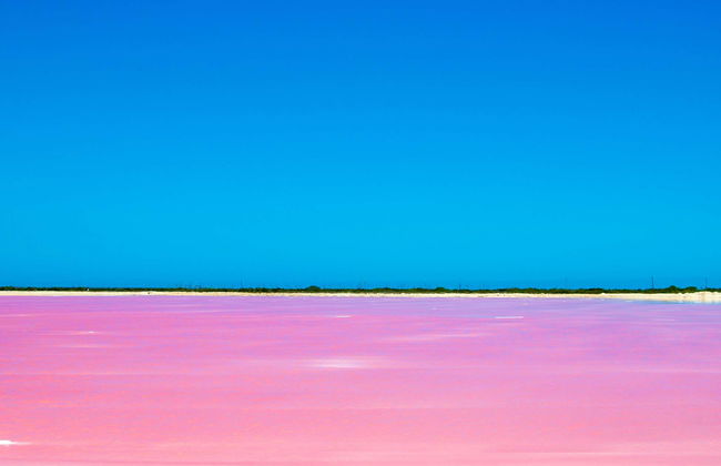 Las Coloradas Natural Park Trip - Photo 19